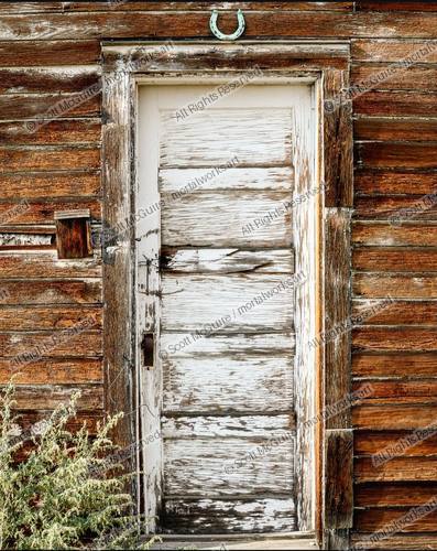 THE DOOR